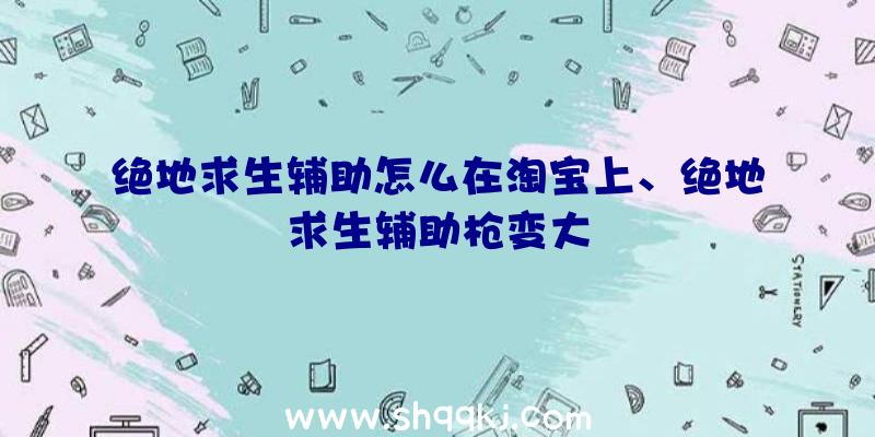 绝地求生辅助怎么在淘宝上、绝地求生辅助枪变大