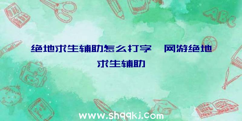 绝地求生辅助怎么打字、网游绝地求生辅助