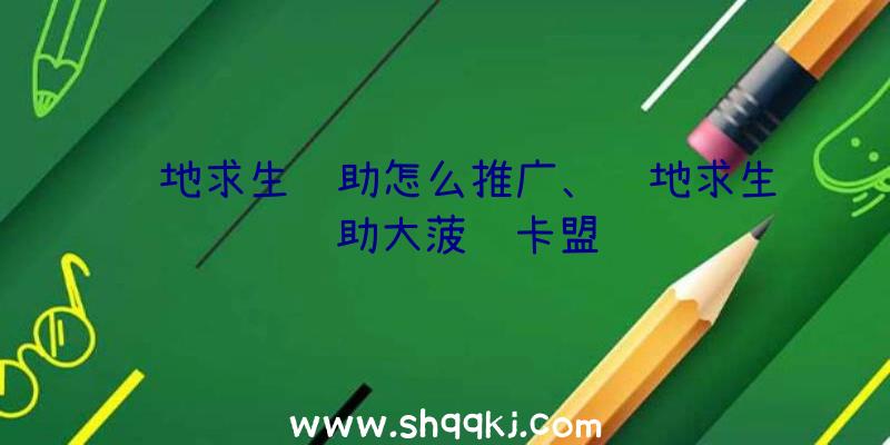 绝地求生辅助怎么推广、绝地求生辅助大菠萝卡盟