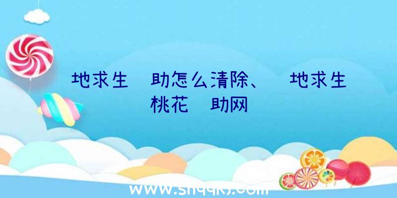 绝地求生辅助怎么清除、绝地求生桃花辅助网