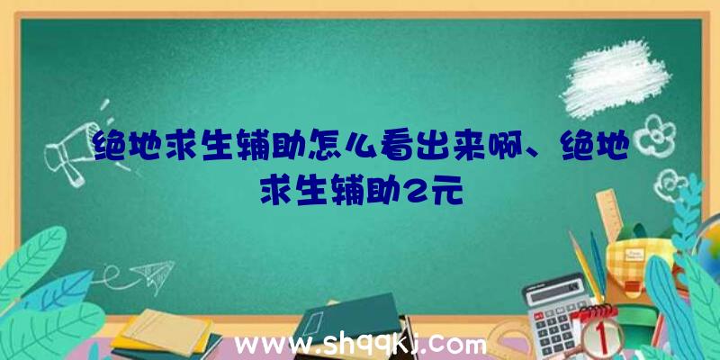 绝地求生辅助怎么看出来啊、绝地求生辅助2元