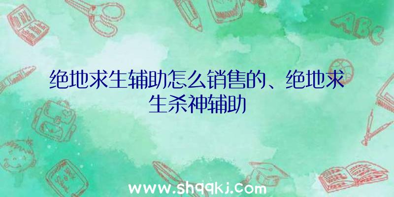 绝地求生辅助怎么销售的、绝地求生杀神辅助