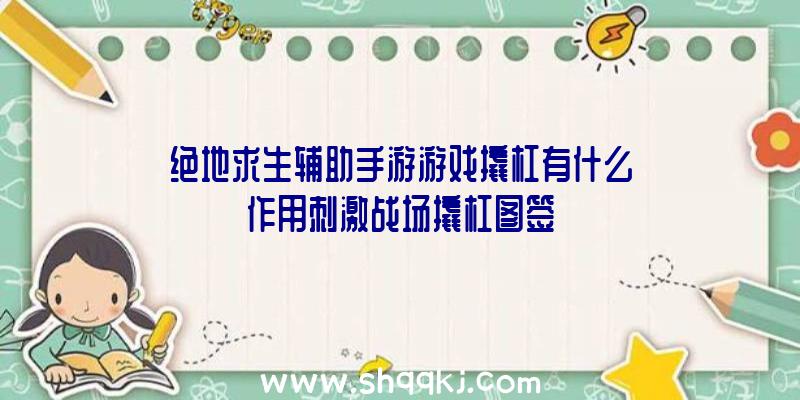 绝地求生辅助手游游戏撬杠有什么作用刺激战场撬杠图签