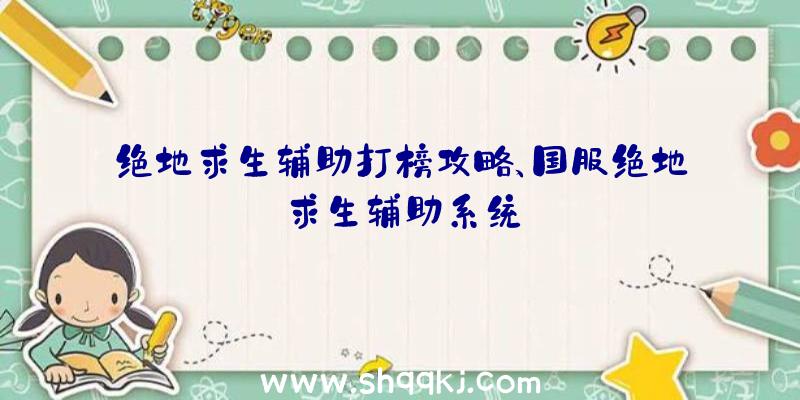 绝地求生辅助打榜攻略、国服绝地求生辅助系统