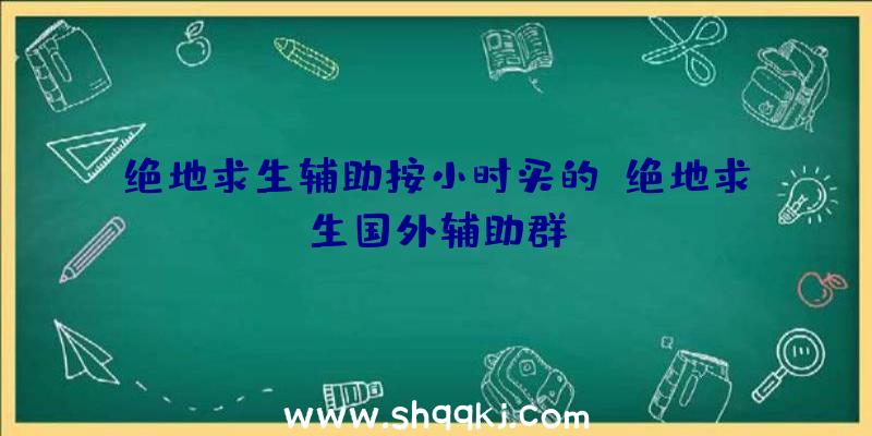 绝地求生辅助按小时买的、绝地求生国外辅助群