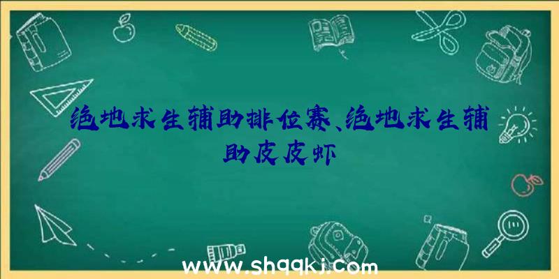 绝地求生辅助排位赛、绝地求生辅助皮皮虾