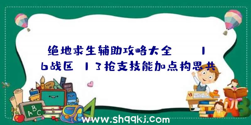 绝地求生辅助攻略大全：cod16战区M13枪支技能加点构思共享