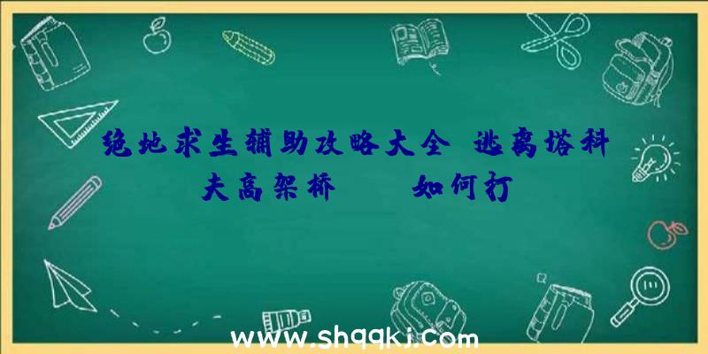 绝地求生辅助攻略大全：逃离塔科夫高架桥BOSS如何打