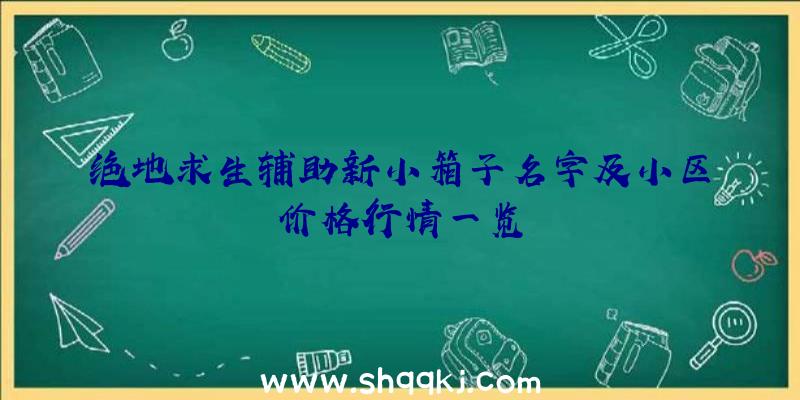 绝地求生辅助新小箱子名字及小区价格行情一览