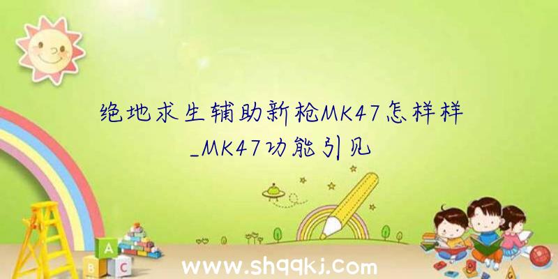 绝地求生辅助新枪MK47怎样样_MK47功能引见