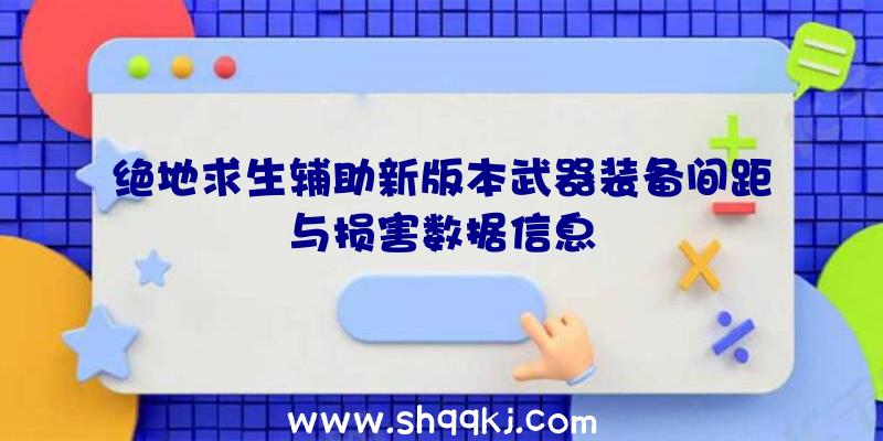 绝地求生辅助新版本武器装备间距与损害数据信息