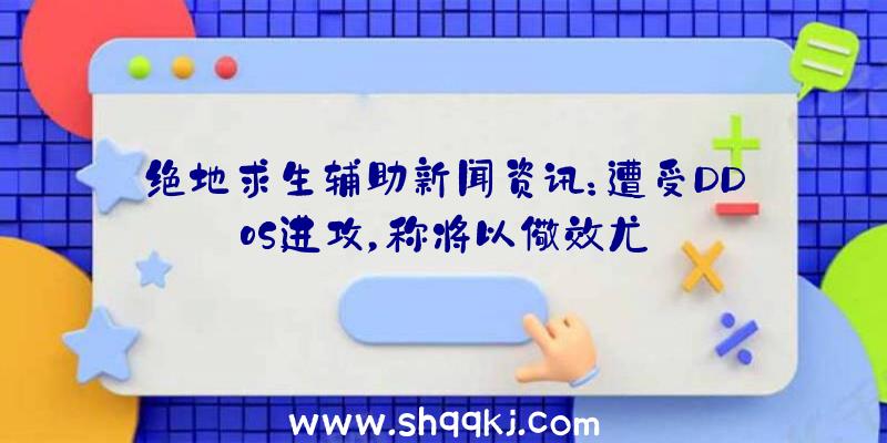 绝地求生辅助新闻资讯：遭受DDoS进攻，称将以儆效尤