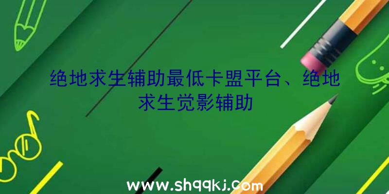 绝地求生辅助最低卡盟平台、绝地求生觉影辅助