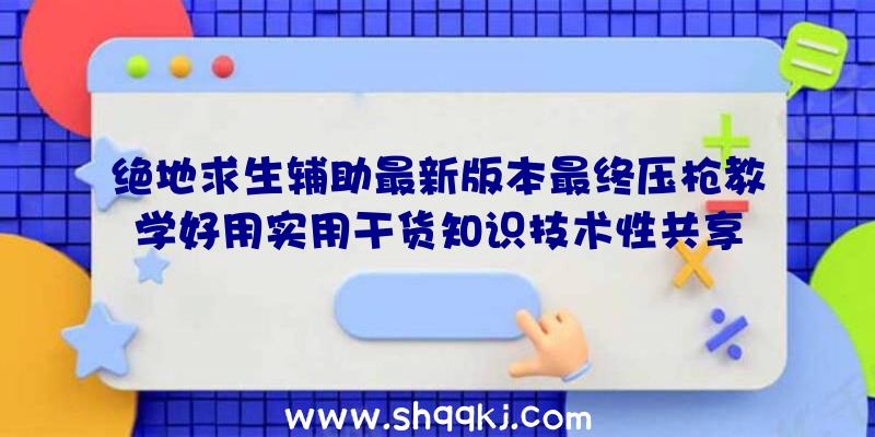 绝地求生辅助最新版本最终压枪教学好用实用干货知识技术性共享