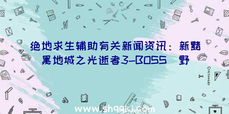 绝地求生辅助有关新闻资讯：新黯黑地城之光逝者3-BOSS(野打团)1-3层简单新闻资讯