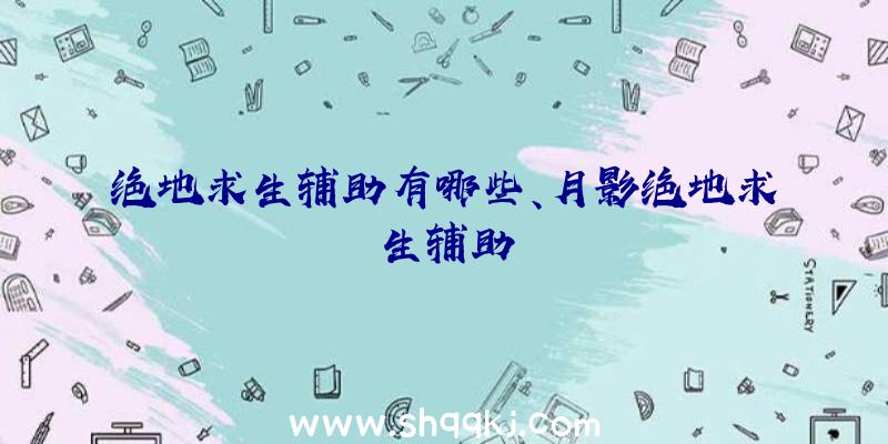 绝地求生辅助有哪些、月影绝地求生辅助