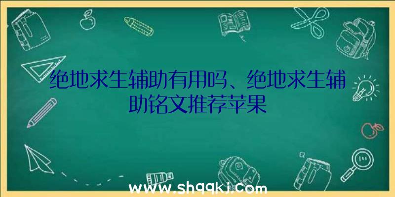 绝地求生辅助有用吗、绝地求生辅助铭文推荐苹果