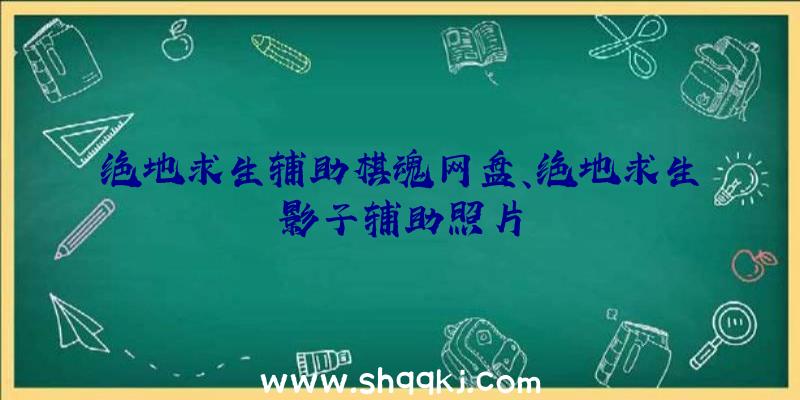 绝地求生辅助棋魂网盘、绝地求生影子辅助照片