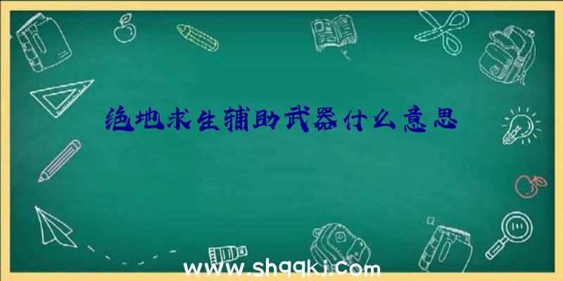 绝地求生辅助武器什么意思