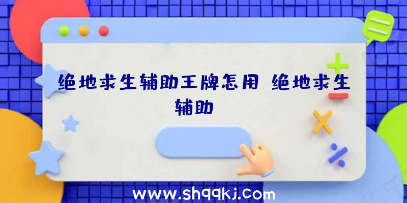 绝地求生辅助王牌怎用、绝地求生辅助svp