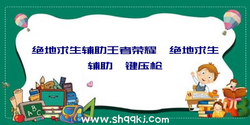 绝地求生辅助王者荣耀、绝地求生辅助一键压枪