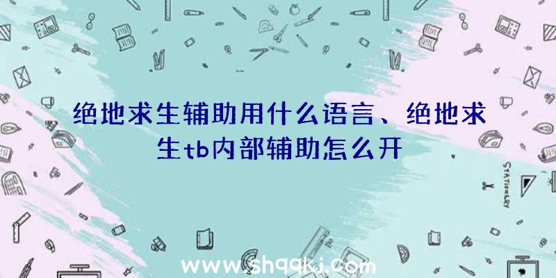 绝地求生辅助用什么语言、绝地求生tb内部辅助怎么开