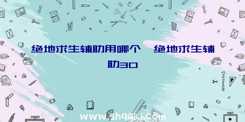 绝地求生辅助用哪个、绝地求生辅助30