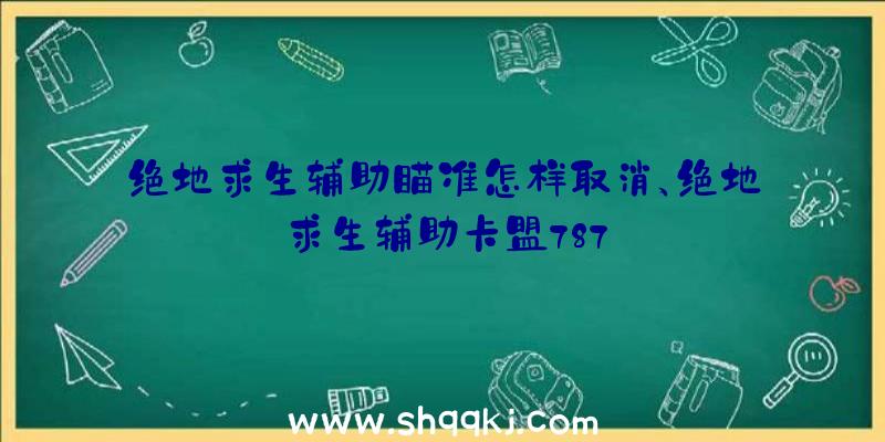 绝地求生辅助瞄准怎样取消、绝地求生辅助卡盟787