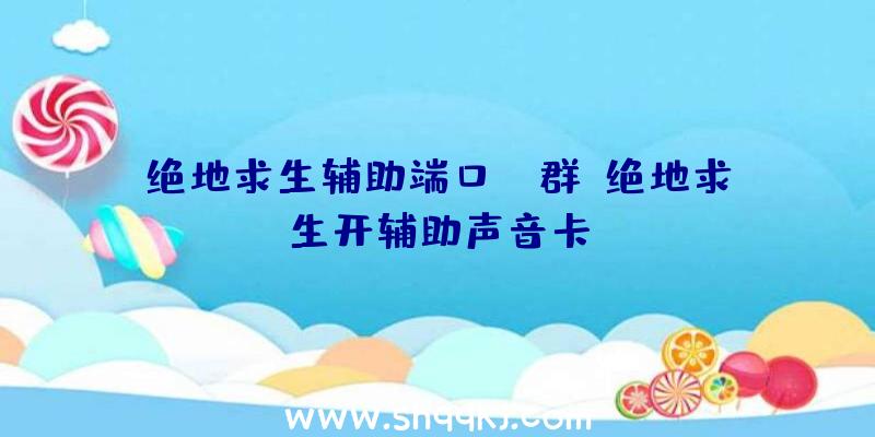 绝地求生辅助端口QQ群、绝地求生开辅助声音卡