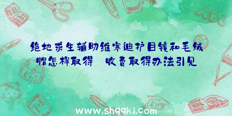 绝地求生辅助维寒迪护目镜和毛绒帽怎样取得_收费取得办法引见