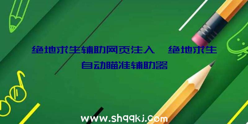 绝地求生辅助网页注入、绝地求生自动瞄准辅助器