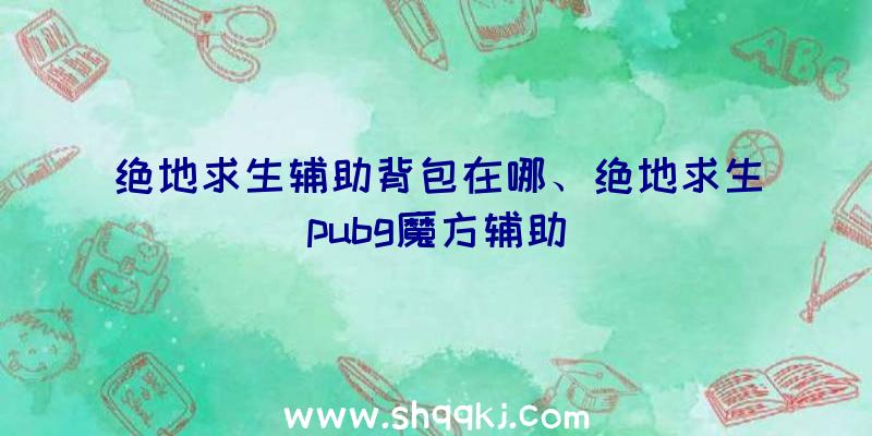 绝地求生辅助背包在哪、绝地求生pubg魔方辅助