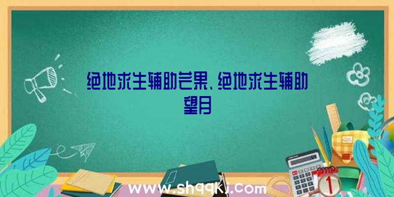 绝地求生辅助芒果、绝地求生辅助望月