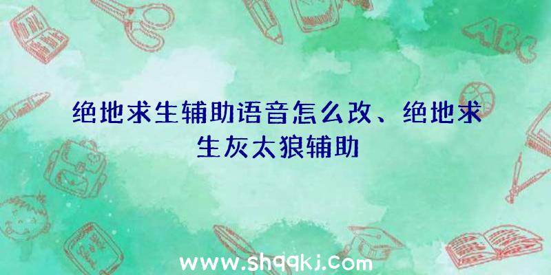 绝地求生辅助语音怎么改、绝地求生灰太狼辅助