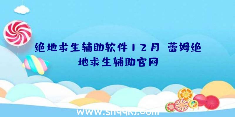 绝地求生辅助软件12月、蕾姆绝地求生辅助官网