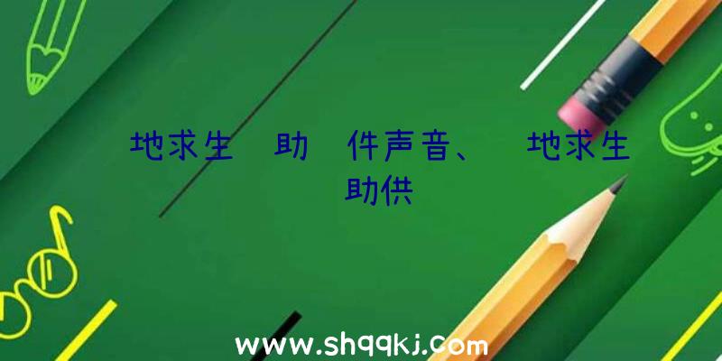 绝地求生辅助软件声音、绝地求生辅助供货