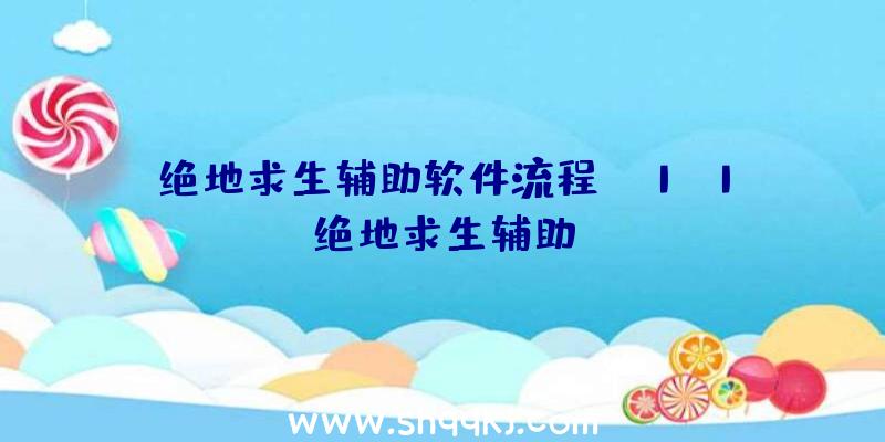 绝地求生辅助软件流程、h1z1绝地求生辅助