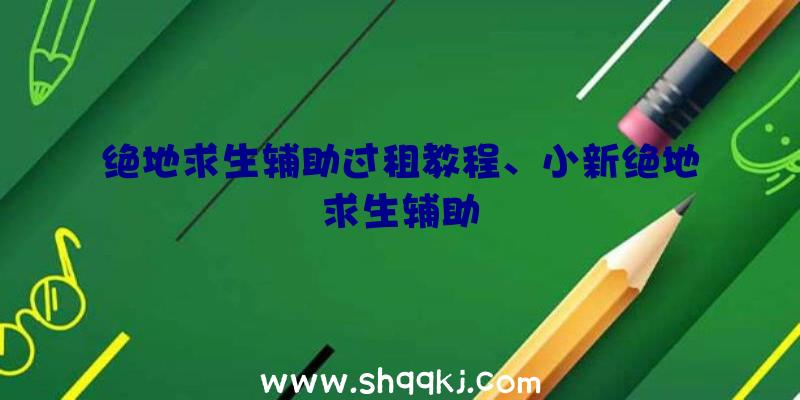 绝地求生辅助过租教程、小新绝地求生辅助