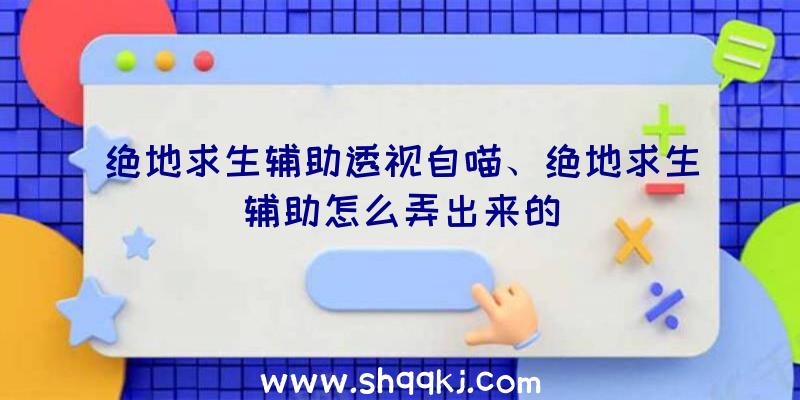 绝地求生辅助透视自喵、绝地求生辅助怎么弄出来的