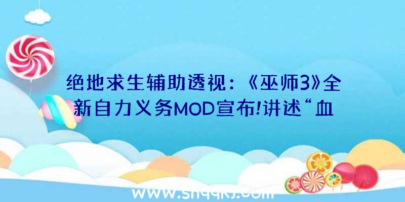 绝地求生辅助透视：《巫师3》全新自力义务MOD宣布!讲述“血与酒”事情后奥里安娜的阅历