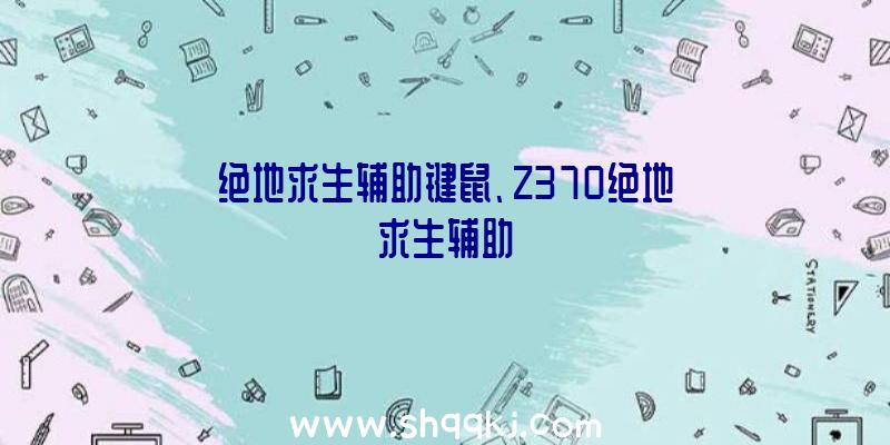 绝地求生辅助键鼠、Z370绝地求生辅助