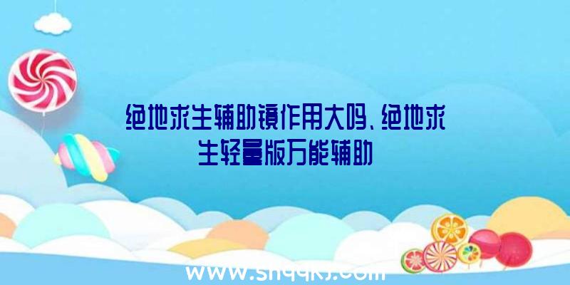 绝地求生辅助镜作用大吗、绝地求生轻量版万能辅助