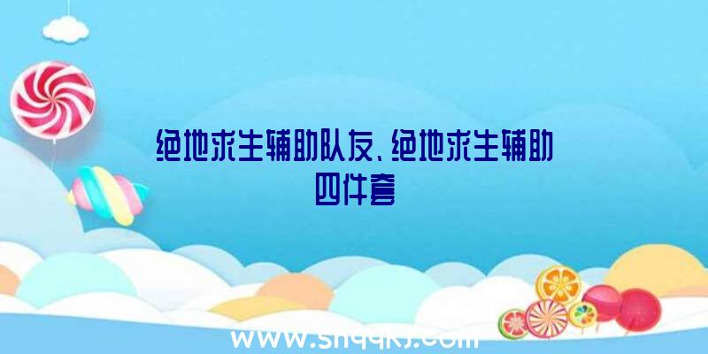 绝地求生辅助队友、绝地求生辅助四件套