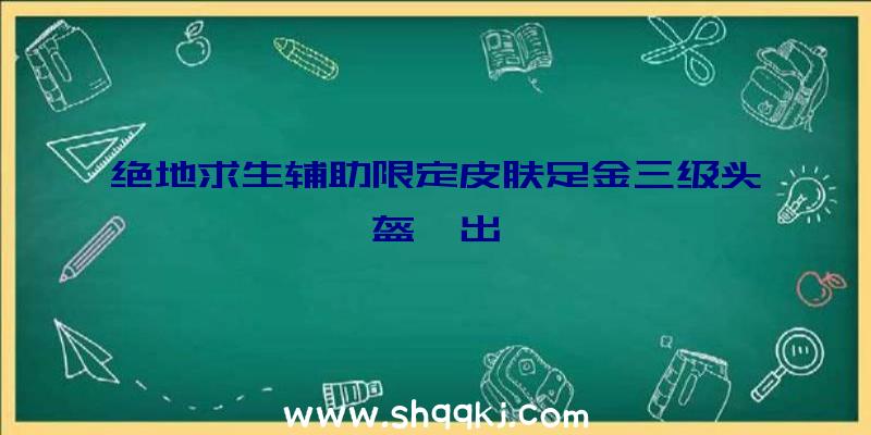 绝地求生辅助限定皮肤足金三级头盔曝出