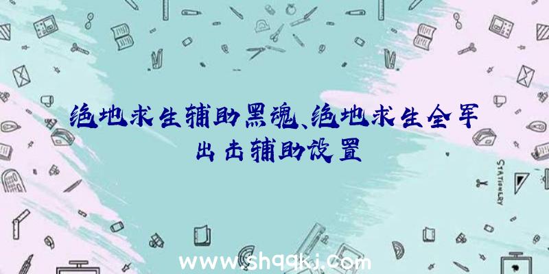 绝地求生辅助黑魂、绝地求生全军出击辅助设置