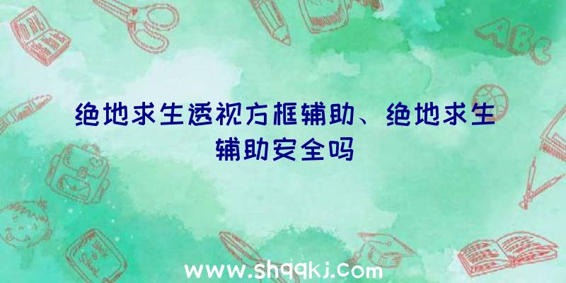 绝地求生透视方框辅助、绝地求生辅助安全吗