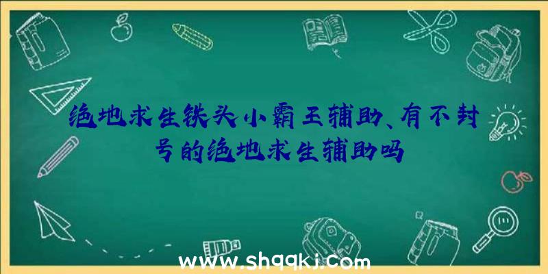 绝地求生铁头小霸王辅助、有不封号的绝地求生辅助吗