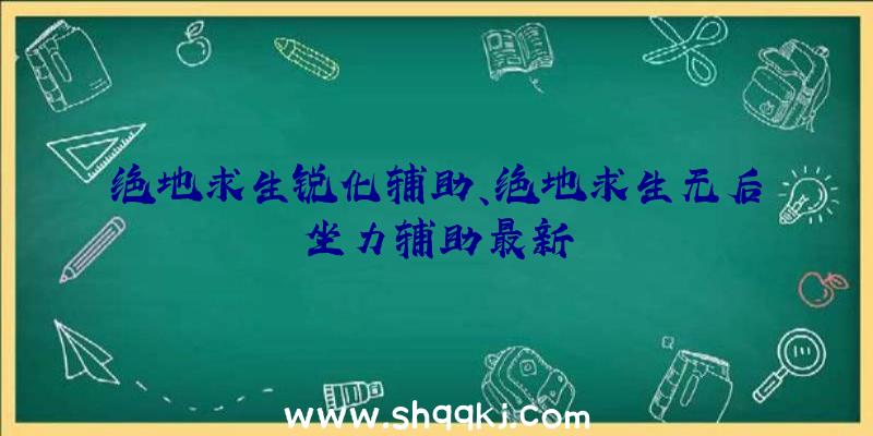 绝地求生锐化辅助、绝地求生无后坐力辅助最新