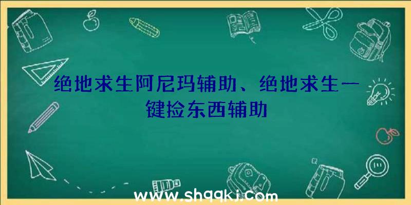 绝地求生阿尼玛辅助、绝地求生一键捡东西辅助