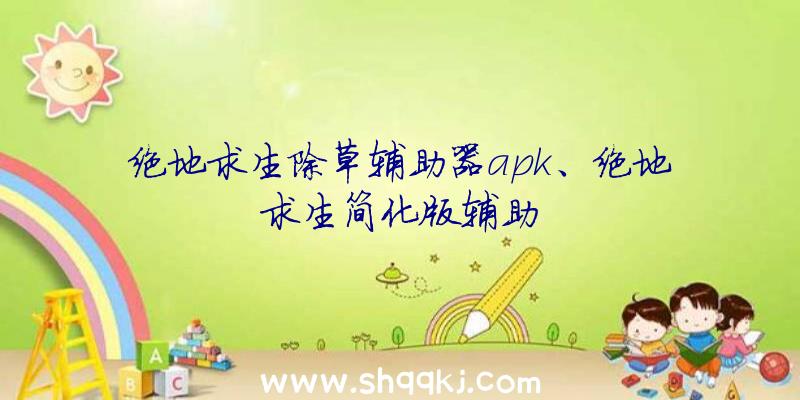 绝地求生除草辅助器apk、绝地求生简化版辅助